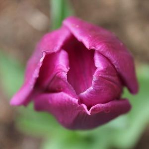 Meet your Posher, Halie